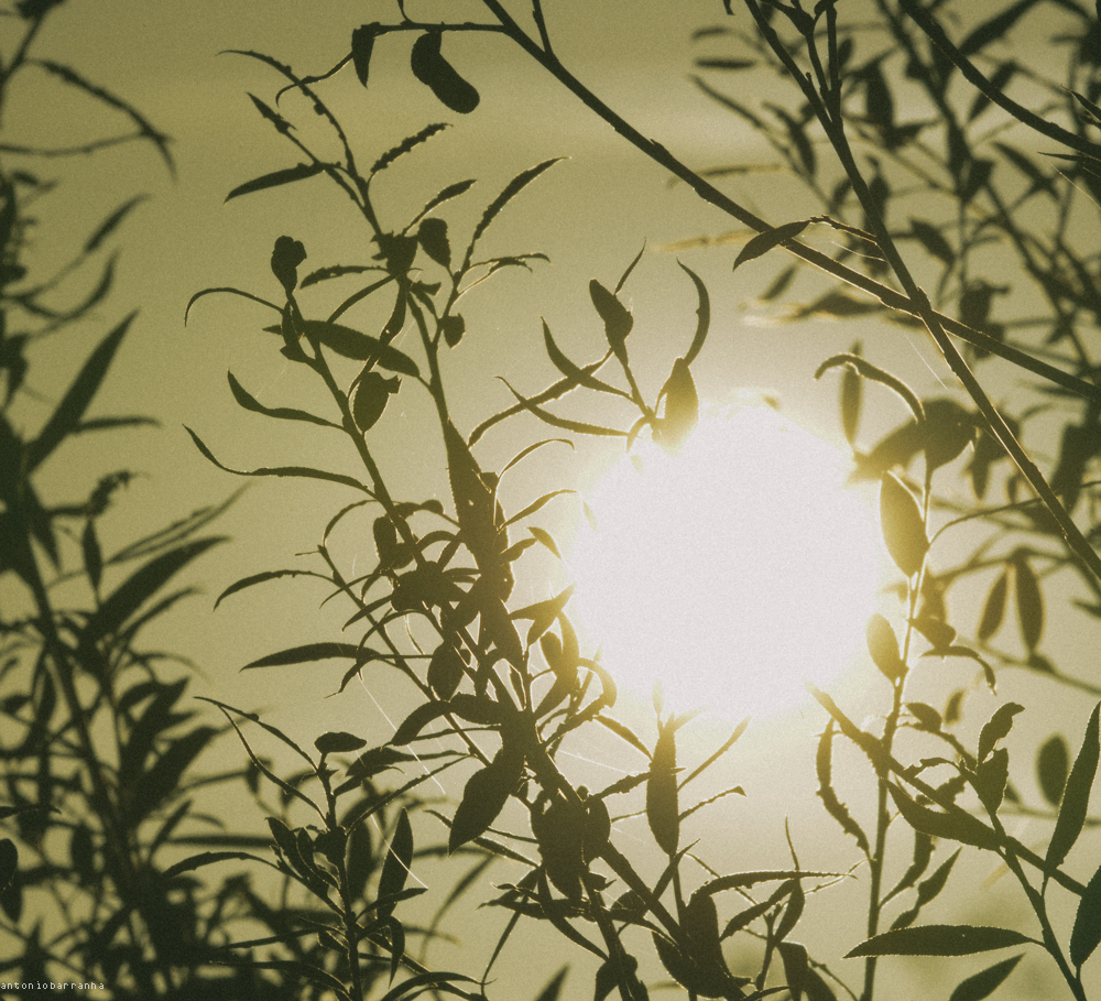 Contraluz Outubro 2014-2.jpg